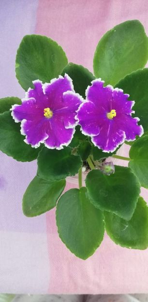 8 nov - LE Galactic Storm