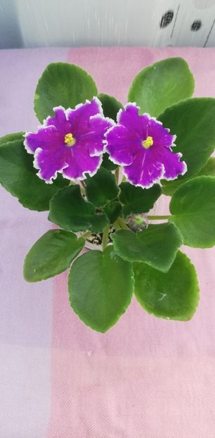 8 nov - LE Galactic Storm