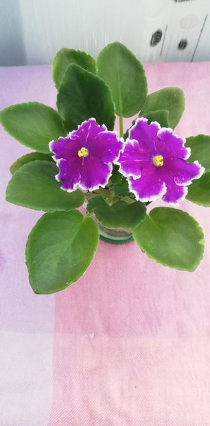 8 nov - LE Galactic Storm