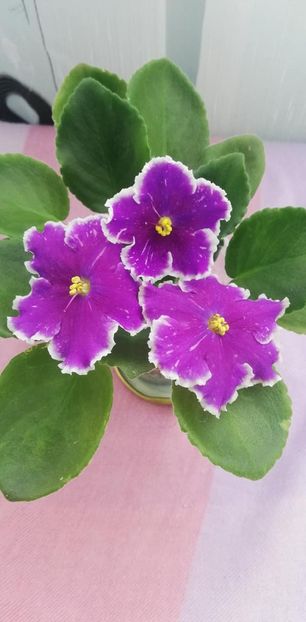 14 nov - LE Galactic Storm