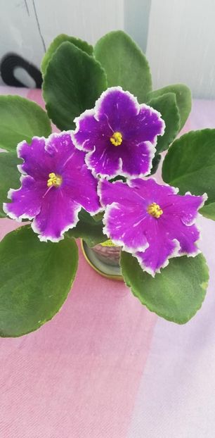 14 nov - LE Galactic Storm