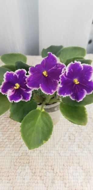 12 dec - LE Galactic Storm