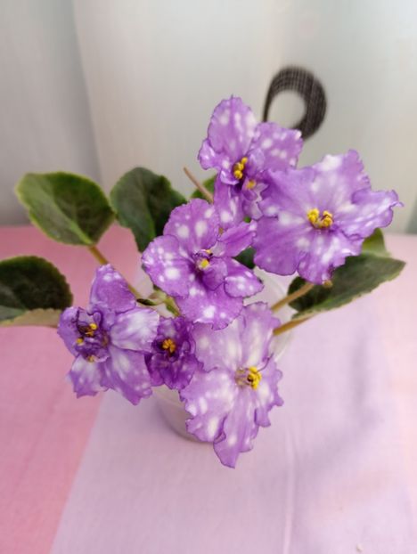 13 mar - Storm s Eye