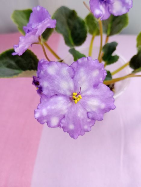 13 mar - Storm s Eye