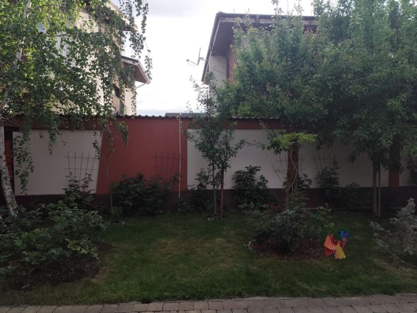  - Primăvara 2024