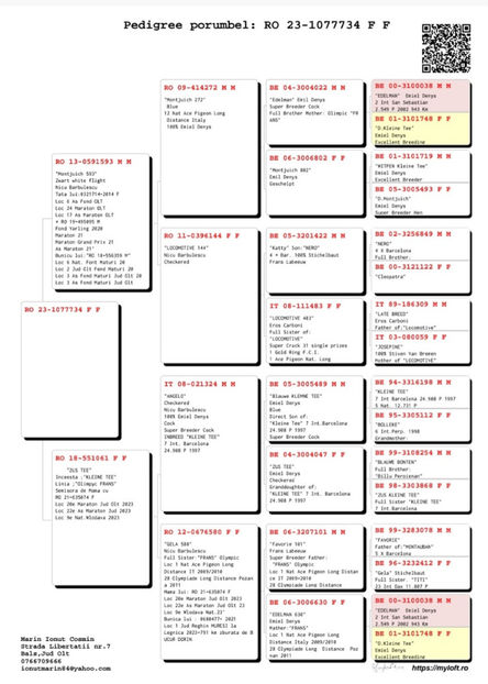 Marin-Ionut-RO-1077734-2023-F-pedigree - 2024