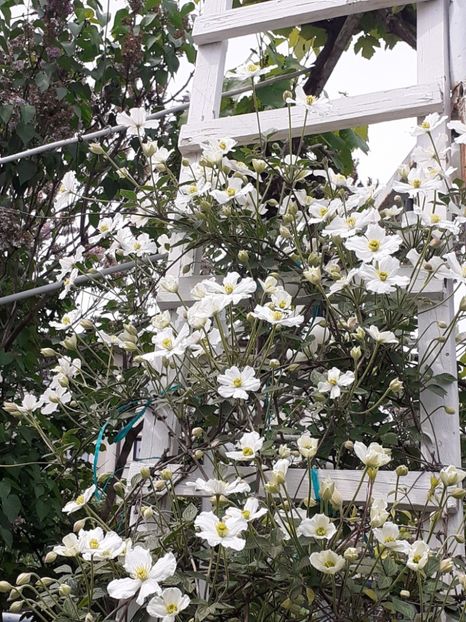  - FEBRUARIE- MARTIE- APRILIE