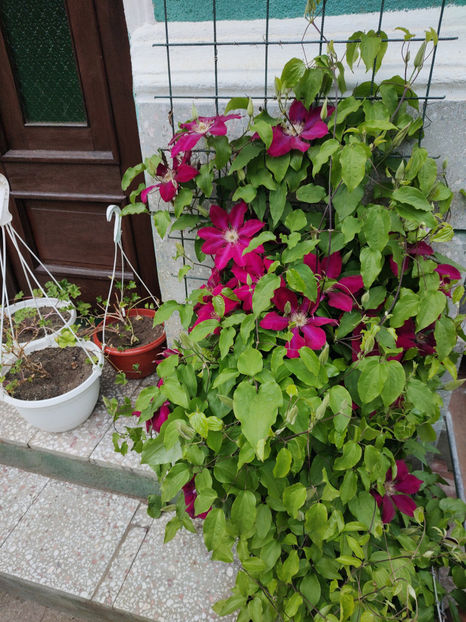 24 04 2024 - Rebecca