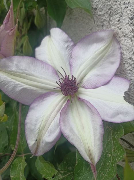 2024-28.04 - 28 Utopia