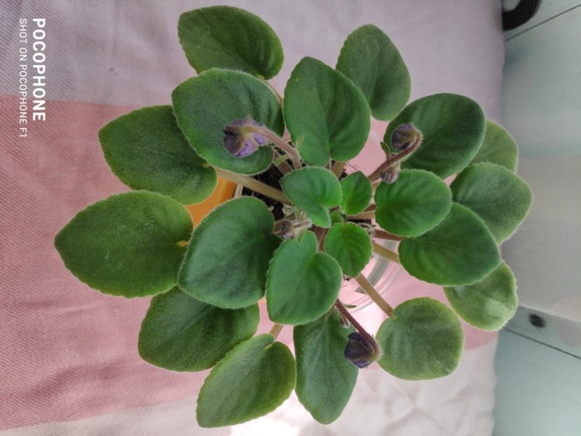 16 apr ( - DN November Rain