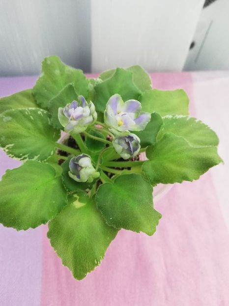 8 nov - Wesley s Depth of Reason