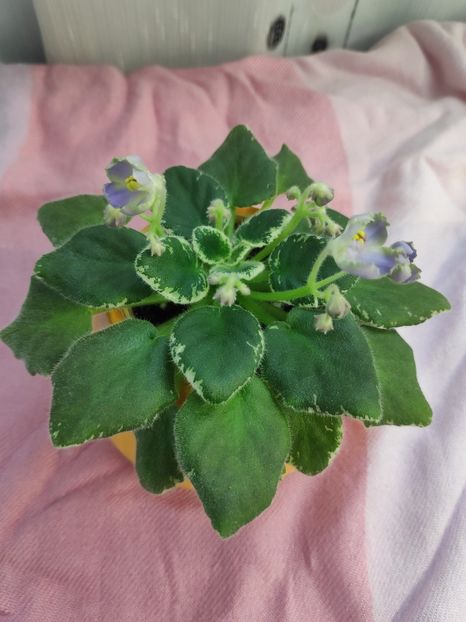 23 apr - Wesley s Depth of Reason