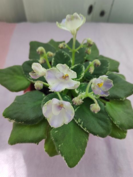 29 apr - Wesley s Depth of Reason