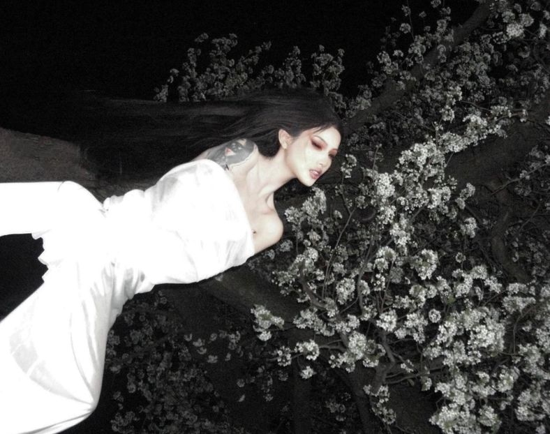 夜桜 - Collection of Tintypes