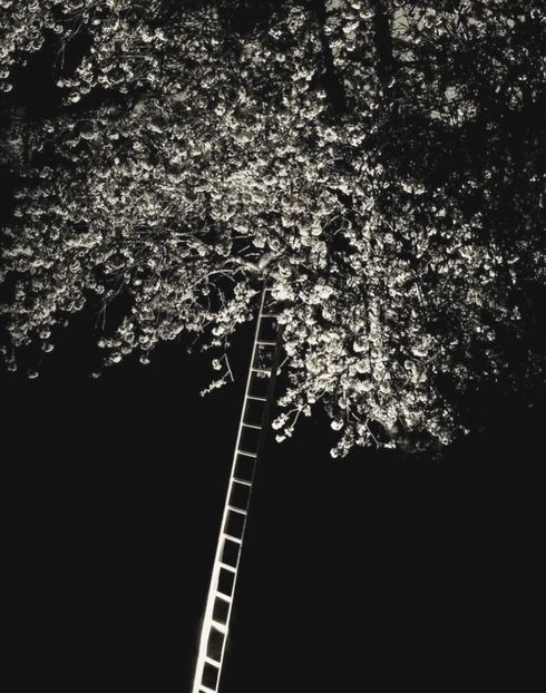  - Collection of Tintypes