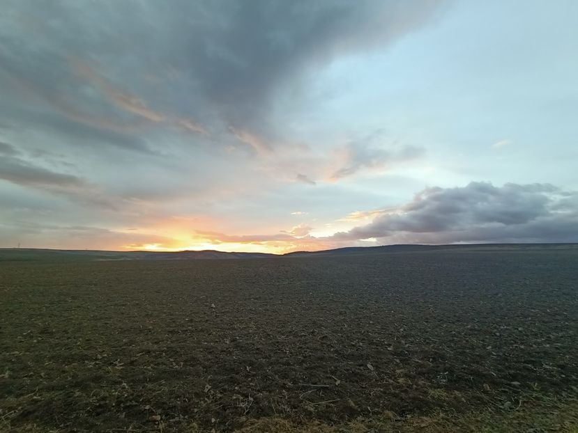IMG20240104081211 - Cerul