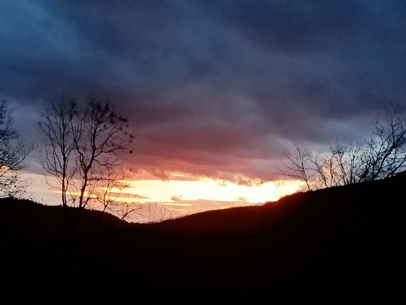 Img.2024.01.24 - Cerul