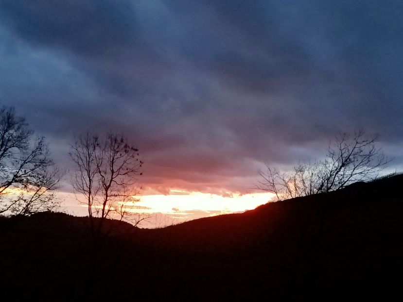 Img.2024.01.24 - Cerul