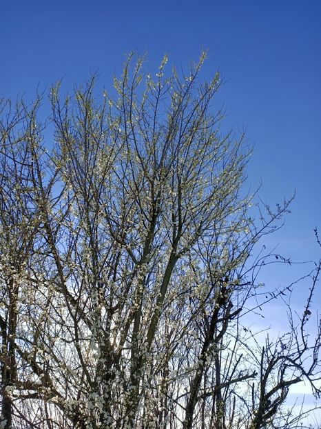 Img.2024.02.25 - Cerul