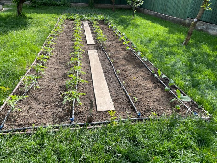  - 001 Gradina de legume 2023-2024-2025