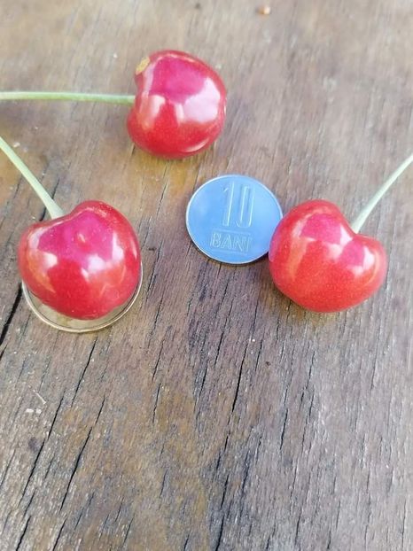 30 aprilie 2024 Topoloveni - Cireși