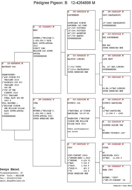 B12-4264898_3 - SUPER ACE 840 - Emiel Denys fiu SUPER ACE