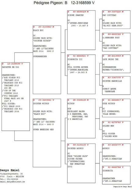B12-3168599_3 - SUPER ACE 840 - Emiel Denys fiu SUPER ACE