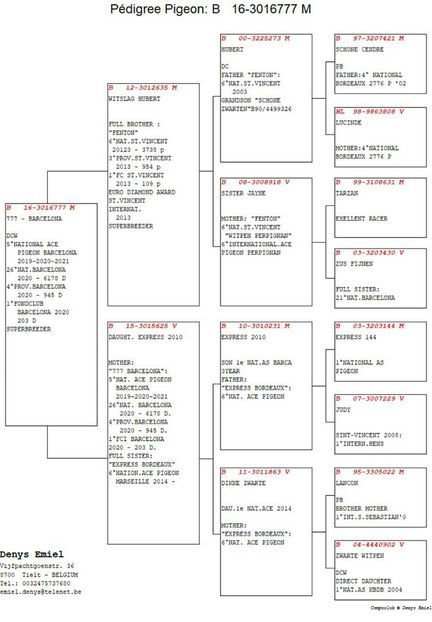 B16-3016777_3 - KLEINE DENISE - Emiel Denys nepoata CLARA și ZWARTE BARCELONA