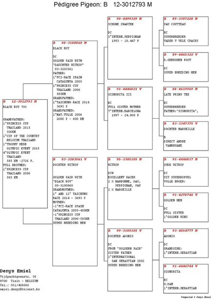 B12-3012793_3 - KLEINE ADONIS - Emiel Denys nepoata PAPA SCHUMI strănepoata 5x3 fiul lui TEE