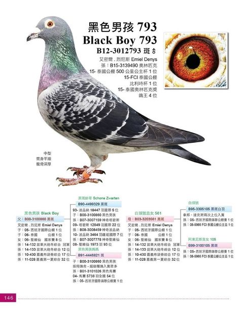 B12-3012793_0 - KLEINE ADONIS - Emiel Denys nepoata PAPA SCHUMI strănepoata 5x3 fiul lui TEE