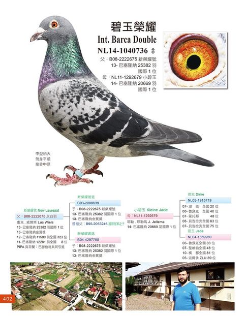 Bunic Young Witbuik - YOUNG WITTBUIK - nepot din NEW WITTBUIK locul 1 național Barcelona 2012