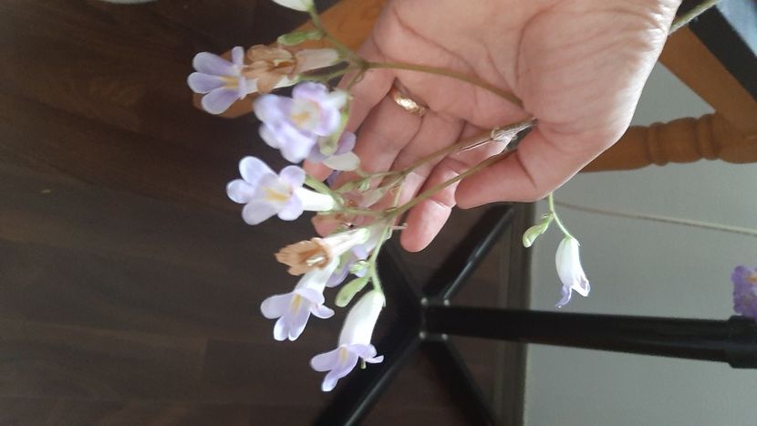  - Diverse flori 2024