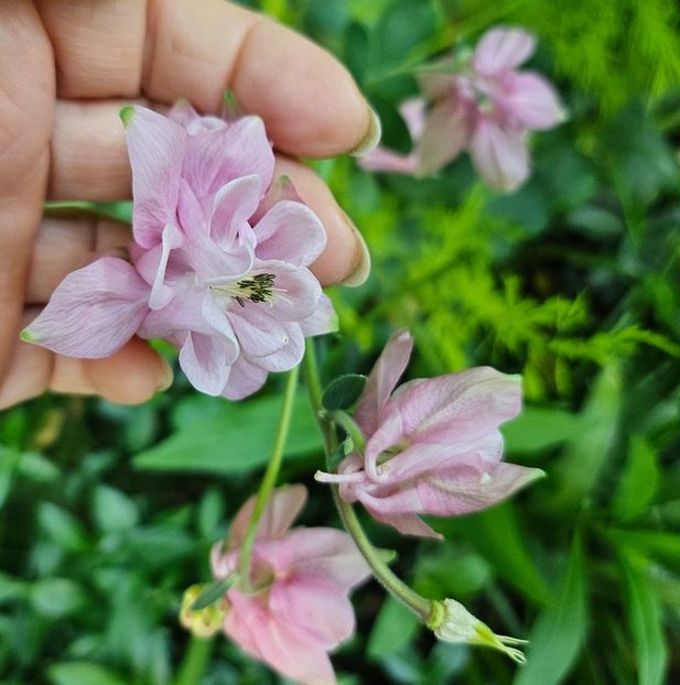  - Caldaruse 2020-2023