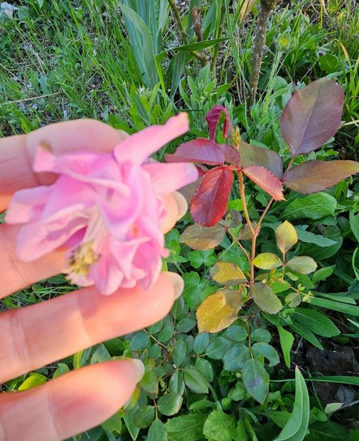  - Caldaruse 2020-2023