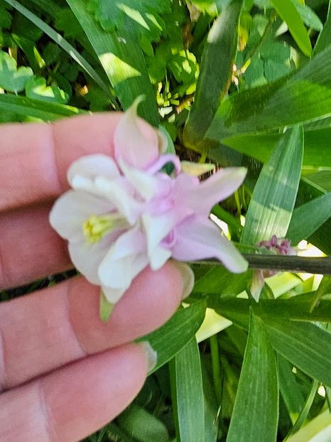  - Caldaruse 2020-2023