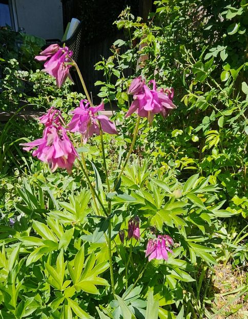  - Caldaruse 2020-2023