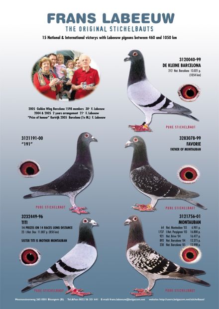 labeeuw - Frans Labeeuw