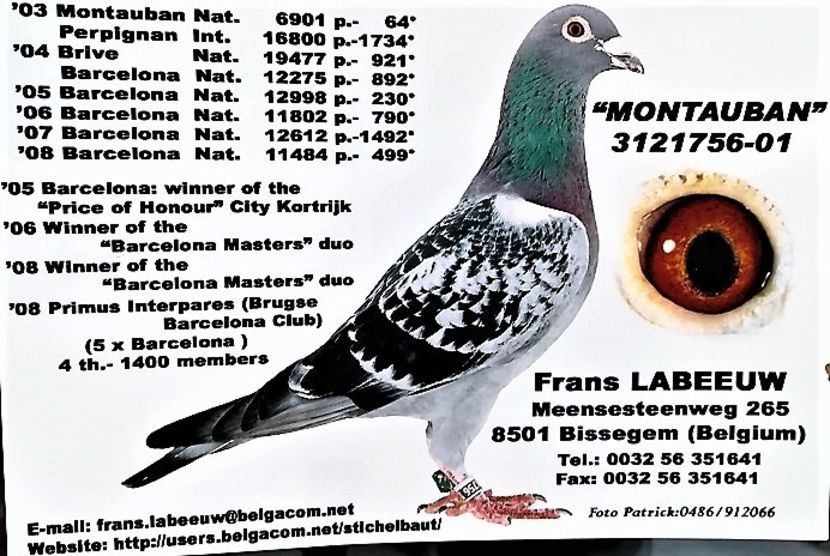 9226-31963 - Frans Labeeuw