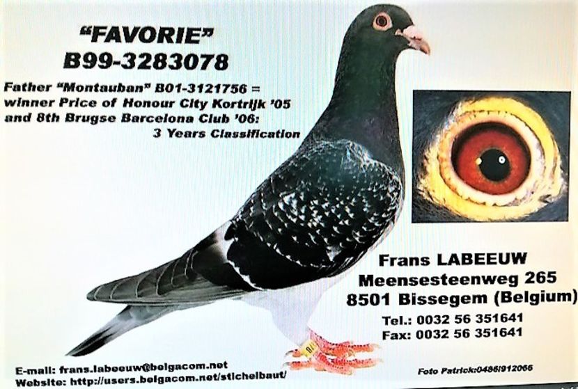 9226-31966 - Frans Labeeuw