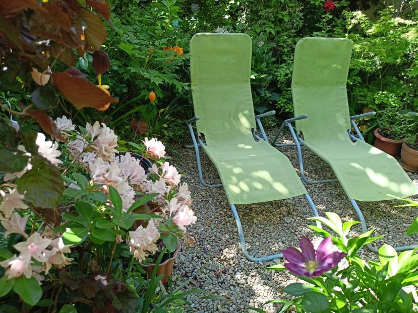  - Grădina 2024 continuare 2