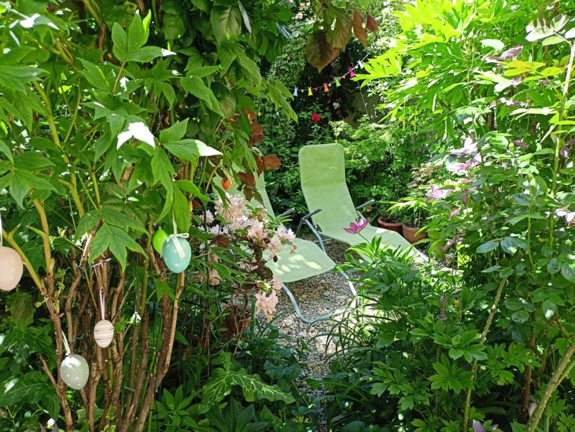  - Grădina 2024 continuare 2