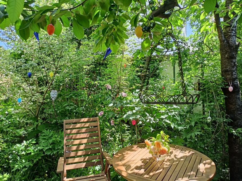  - Grădina 2024 continuare 2