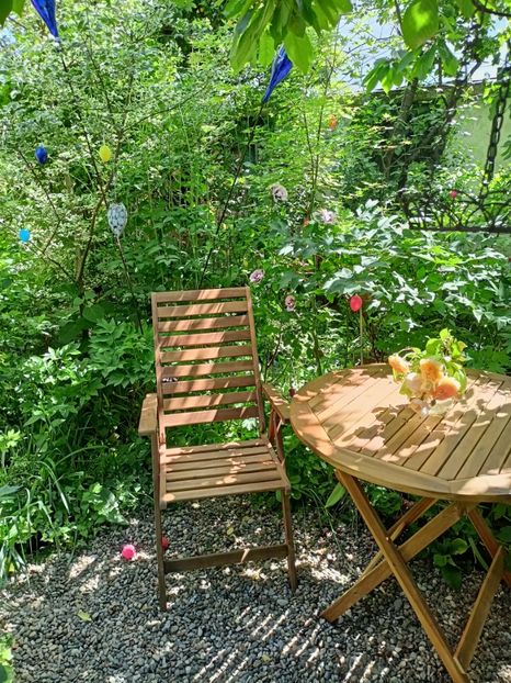  - Grădina 2024 continuare 2