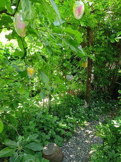  - Grădina 2024 continuare 2