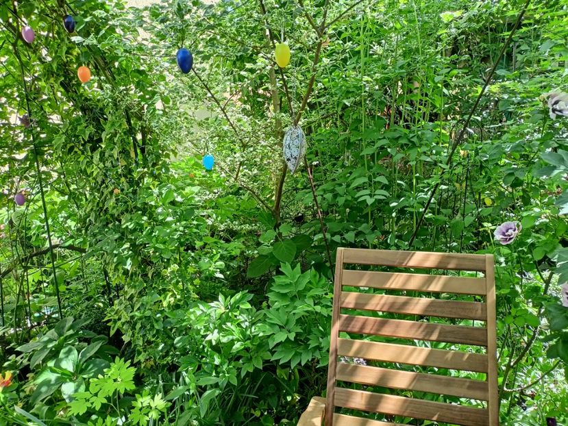  - Grădina 2024 continuare 2