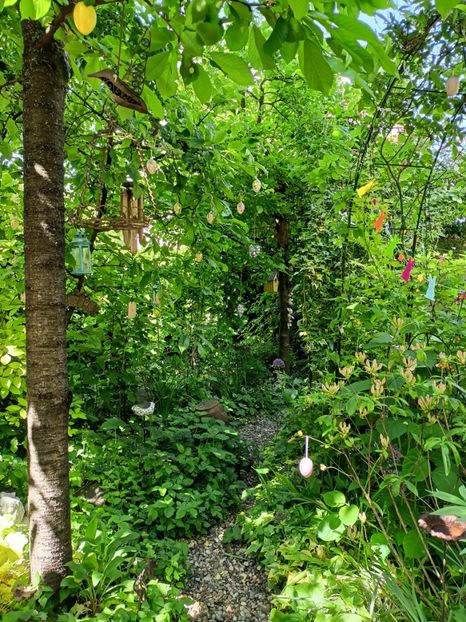  - Grădina 2024 continuare 2