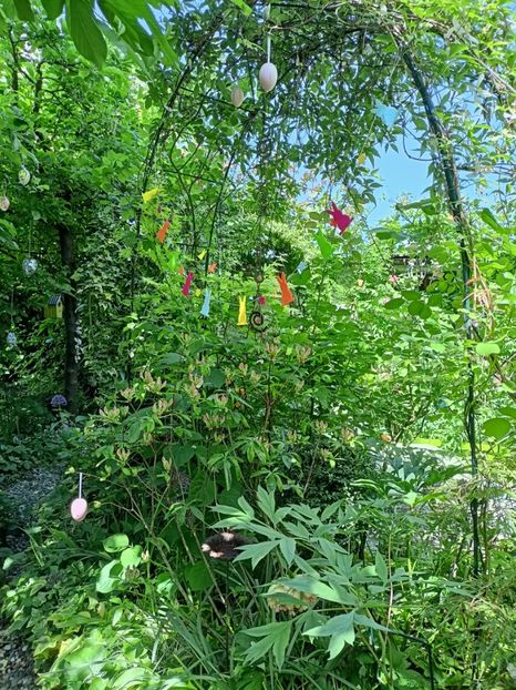  - Grădina 2024 continuare 2