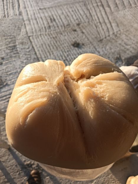 IMG20240429195238 - Turcana alba