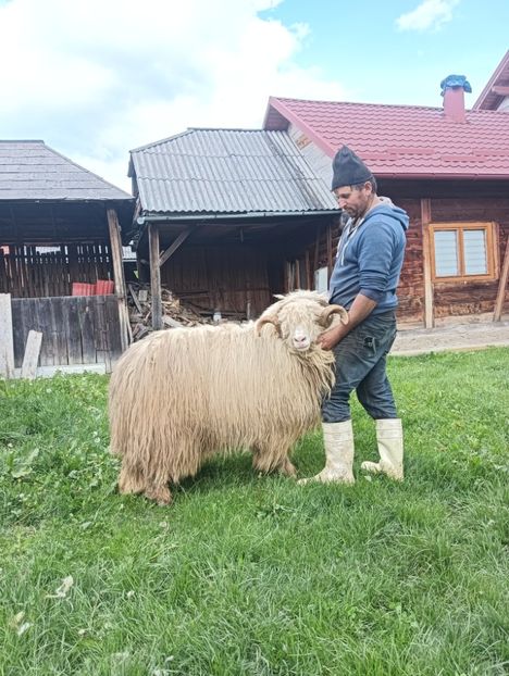 IMG20240427145108 - Turcana alba