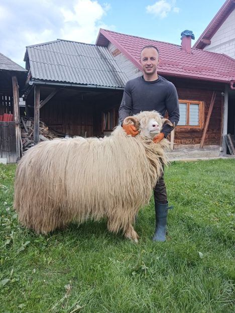 IMG20240427145133 - Turcana alba